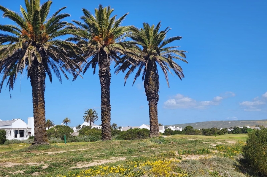 0 Bedroom Property for Sale in Shelley Point Western Cape